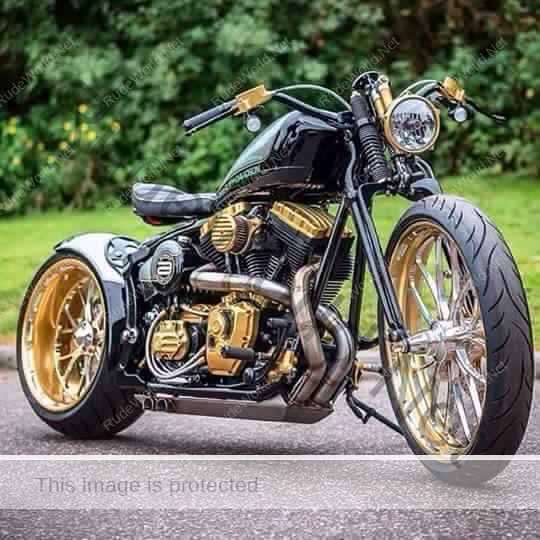 RWNContributed-1475