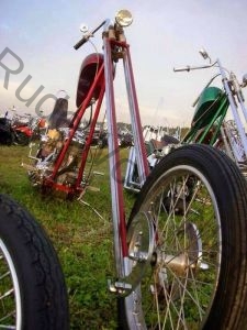 RWNContributed-1477